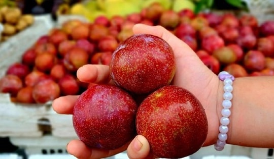 Không còn giá hơn trăm nghìn/kg, mận hậu giá rẻ tràn ngập chợ TP.HCM