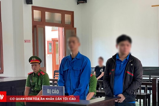 Làm giả con dấu, tài liệu, hai cậu cháu cùng lĩnh án