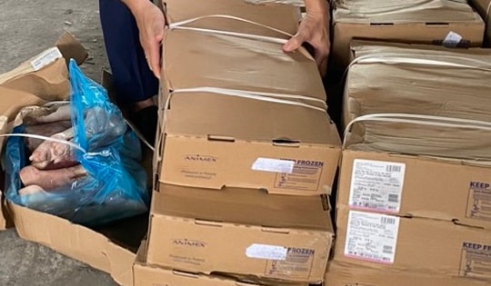 Hà Nội: Kiểm tra ô đất cuối ngõ 238 Âu Cơ, phát hiện hàng trăm thùng carton chứa chân giò lợn nhập lậu