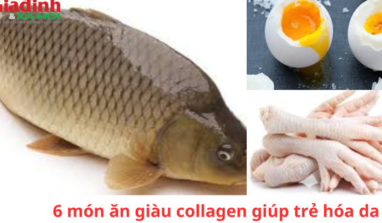 6 món ăn giàu collagen giúp trẻ hóa da giá cực rẻ nên dùng mỗi ngày