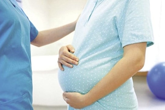 Hướng dẫn xác định quyền ly hôn của chồng người mang thai hộ vì mục đích nhân đạo