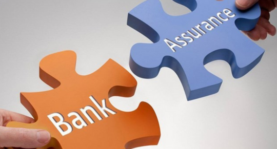 Hướng dẫn sử dụng vốn, tài sản của tổ chức tín dụng, chi  nhánh ngân hàng nước ngoài mới nhất