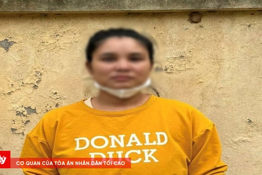 Trốn truy nã khi được hoãn chấp hành án phạt tù vì nuôi con nhỏ