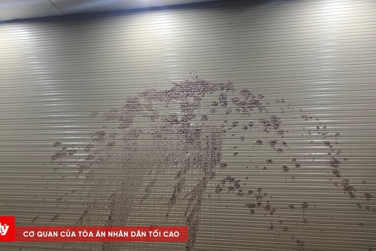 Liên tục bị tạt sơn, mắm tôm vào nhà, cả gia đình bất an