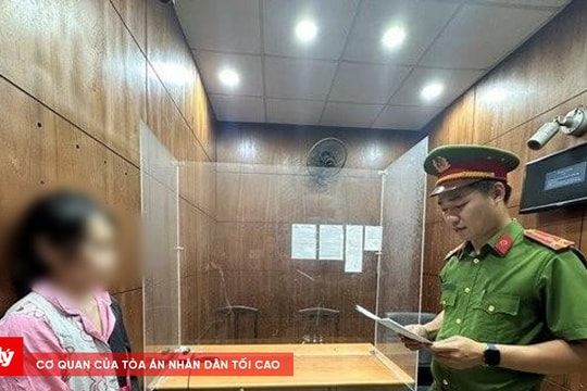 Hoàn tất kết luận điều tra vụ bắt cóc 2 bé gái ở phố đi bộ Nguyễn Huệ