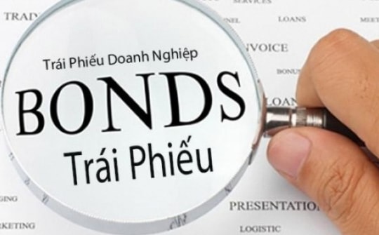 Vụ án Vạn Thịnh Phát giai đoạn 2: Hơn 25.000 bị hại đã đến trình báo