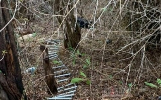 Từ chiếc xe taxi, truy tìm ra vụ án cô gái bị sát hại, giấu xác trong vali ở Vũng Tàu