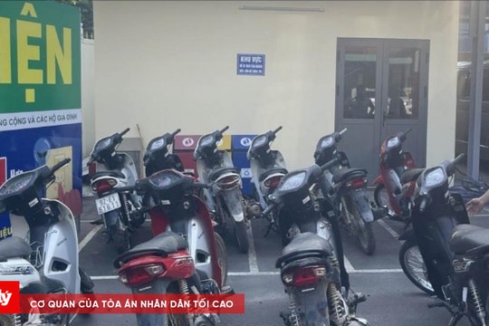 Phá đường dây trộm, tiêu thụ xe máy liên tỉnh