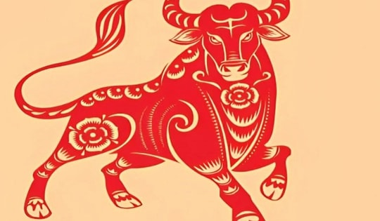 Tử vi tuần mới 12 con giáp từ 10/6 – 16/6/2024: Vận trình tài lộc tuổi Sửu, Dần có nhiều khởi sắc