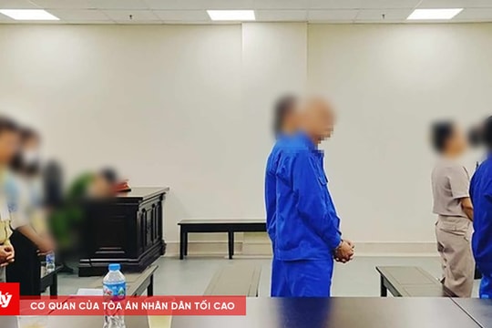 Giám đốc doanh nghiệp lĩnh án vì tổ chức nhập cảnh trái phép