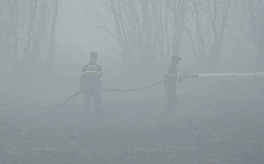Vườn quốc gia Tràm Chim cháy do 'có người xâm nhập trái phép'