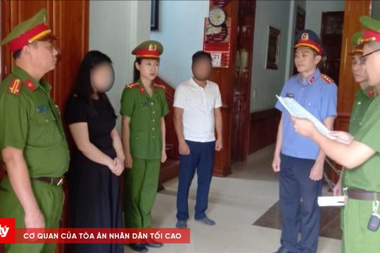 Giám đốc Công ty công nghệ lập khống hồ sơ, trốn thuế gần 7 tỷ đồng