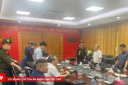 Nguyên nhân khiến Tổng Giám đốc VEAM vướng vòng lao lý