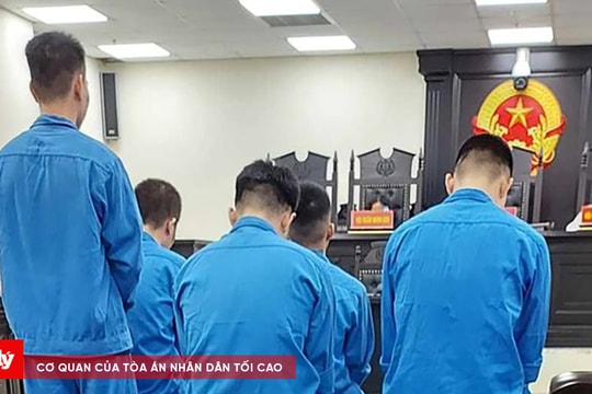 Nhóm thanh niên lĩnh án tù vì rủ nhau đi trộm tài sản ở siêu thị