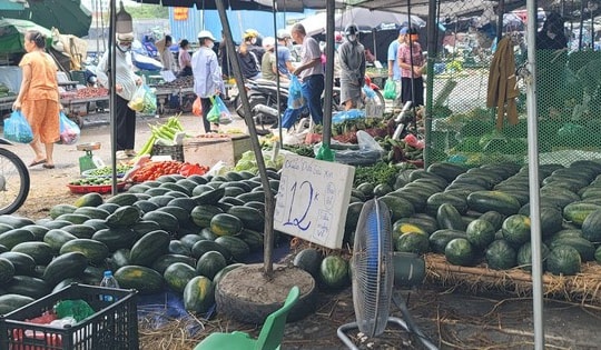 Mận Sơn La, dưa hấu Sài Gòn, vải, xoài giá từ 10.000 đồng/kg nhưng tiểu thương vẫn 'dài cổ' ngóng khách