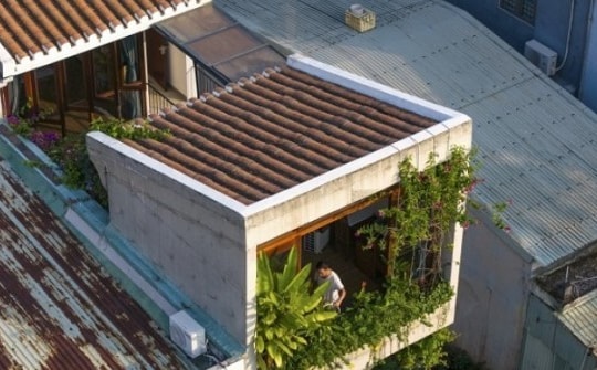 Mãn nhãn ngôi nhà "tổ chim" tràn ngập ánh sáng và cây xanh của cặp vợ chồng nhà báo - giáo viên