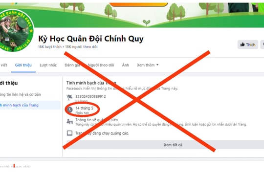 Bị lừa tiền tỉ vì đăng ký 'kỳ học quân đội' cho con