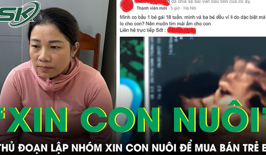 Bắt người phụ nữ lập nhóm ‘xin con nuôi’ để mua bán trẻ em