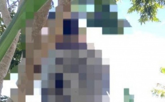 Phó chủ tịch xã ở Gia Lai chết trong tư thế treo cổ gần trụ sở