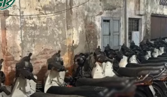 Đánh sập đường dây trộm cắp xe máy cực 'khủng', tiêu thụ xuyên quốc gia