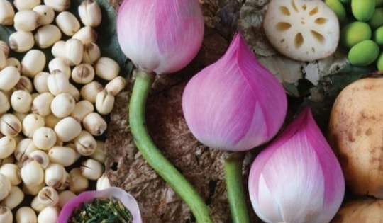 Mẹo bảo quản hạt sen tươi để cả năm không bị thâm