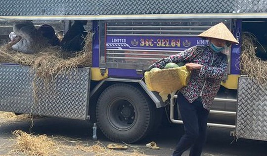 Người dân chật vật mưu sinh dưới nắng nóng oi bức