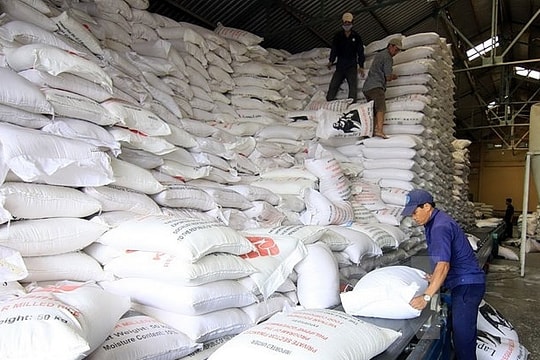 Xuất cấp gạo cho 3 tỉnh Cao Bằng, Lai Châu, An Giang