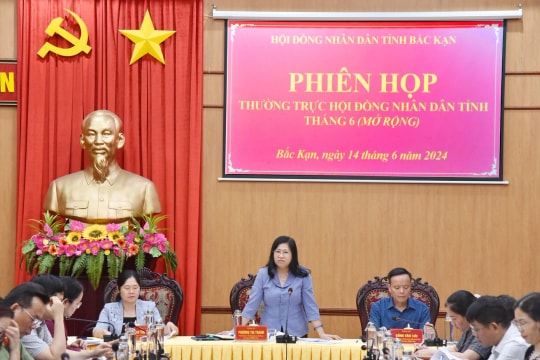 Hoàn thiện dự thảo Nghị quyết tiêu chí thành lập, mức hỗ trợ Tổ bảo vệ an ninh, trật tự