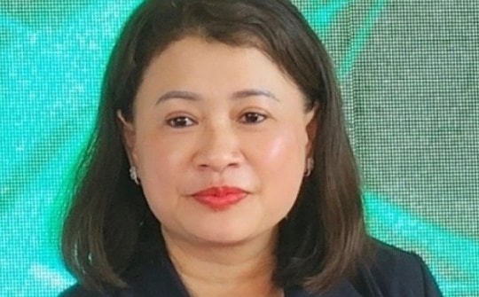 Đồng Nai: Cách chức Phó Bí thư với nữ Chủ tịch huyện Nhơn Trạch sau vụ mất hơn 170 tỉ đồng