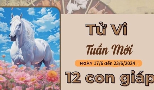 Tử vi tuần mới 12 con giáp từ 17/6 - 23/6/2024: Mão tích cực, tý thăng trầm