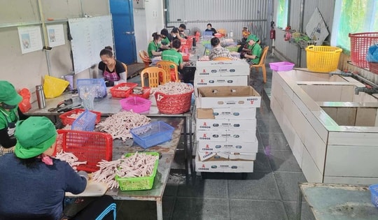 Hàng tấn thực phẩm không nguồn gốc bên trong căn nhà tôn luôn đóng kín cửa