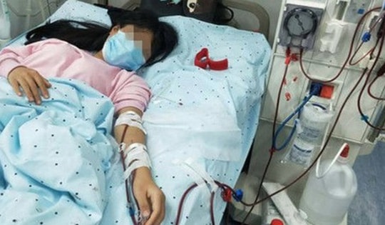 Bé gái 12 tuổi phải chạy thận suốt đời thói quen ăn uống nhiều người Việt mắc phải