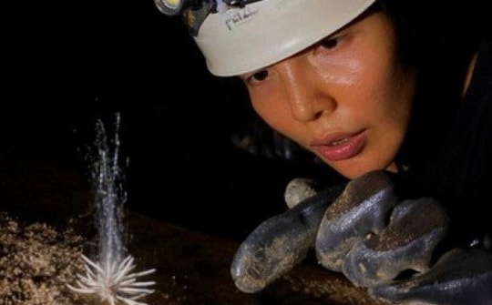 Tin tức 24h qua: Vẻ kỳ lạ của loài “thủy quái” vừa được phát hiện ở Phong Nha - Kẻ Bàng