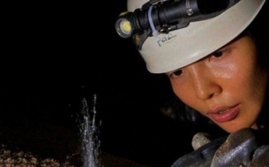 Xuất hiện "thủy quái" bí ẩn trong hang động ở Phong Nha - Kẻ Bàng