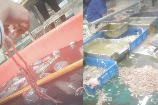 Ghê rợn cảnh làm lòng vịt, ngỗng phục vụ cửa hàng lẩu ở Trung Quốc