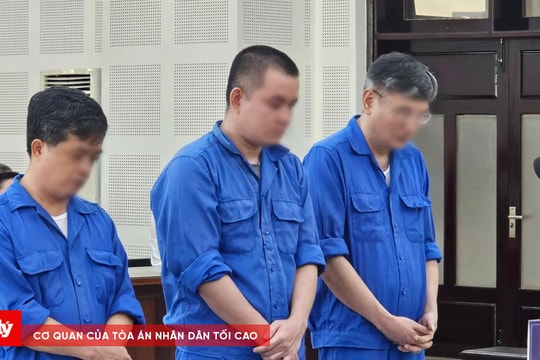 Giám đốc Trung tâm đăng kiểm xe cơ giới Đà Nẵng và thuộc cấp nhận hối lộ