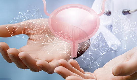 Chế độ dinh dưỡng tốt cho người bệnh ung thư tuyến tiền liệt