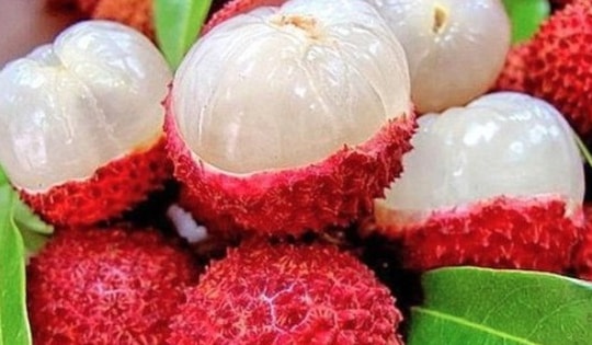 Người bệnh tiểu đường không cần kiêng ăn vải, ăn theo cách này để tăng miễn dịch và ngừa biến chứng tiểu đường