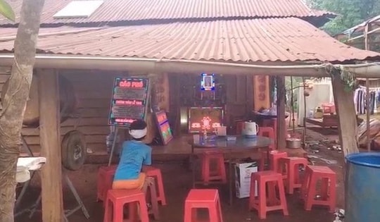 Bình Phước: Chó dại cắn cùng lúc 6 người, 1 người đã  tử vong