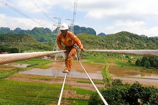 Công nhân đi như xiếc trên đường dây điện 500 kV