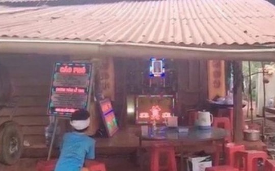 Bình Phước: Chó dại cắn cùng lúc 6 người, 1 người đã tử vong