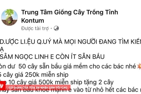 Khởi tố đối tượng bán sâm Ngọc Linh giả