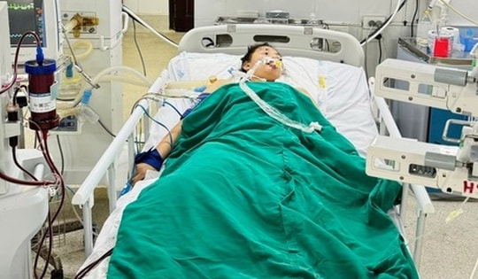 Đang ngủ, bé 15 tuổi ở Lào Cai bị rắn cắn liệt tứ chi