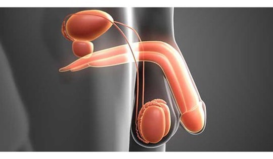 Các phương pháp điều trị ung thư tuyến tiền liệt