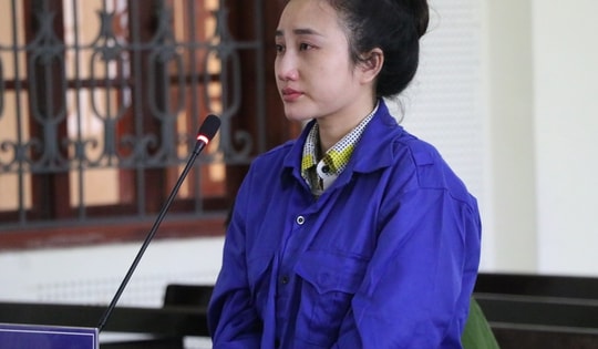 Lãnh án nặng vì tổ chức mang thai hộ nhằm mục đích thương mại