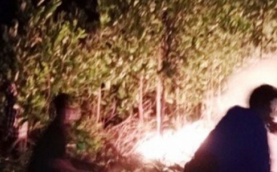 Cháy rừng ở Hà Tĩnh trong đêm, hàng trăm người tham gia dập lửa