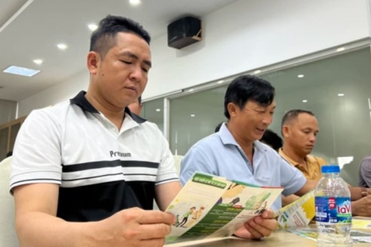 CSGT TP HCM cảnh báo hiểm họa khôn lường từ “điểm mù” ôtô