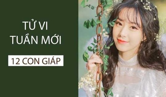 Tử vi tuần mới 12 con giáp từ 24/6 - 30/6/2024: Mùi may mắn, Hợi vừa hung vừa cát