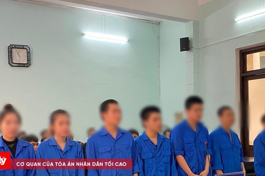 Trả hồ sơ điều tra về sức khỏe tâm thần đối với bị cáo trong vụ án ma túy