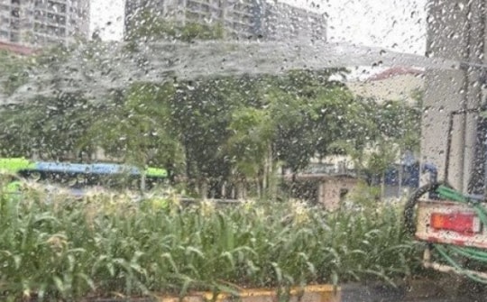 Xác minh thông tin công nhân phun nước tưới cây giữa trời mưa to ở Hà Nội